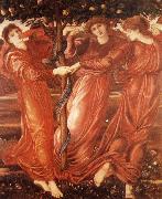 Sir Edward Coley Burne-Jones The Garden of the Hesperides china oil painting reproduction